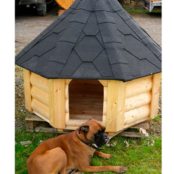 Ein Hund liegt auf einer Wiese vor der Hundekota aus Holz 